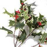 Green Variegated Large Holly Berry Branch Faux Christmas Botanical Winter Foliage - 31"