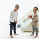 Plush Indoor Ball (2 Pack)