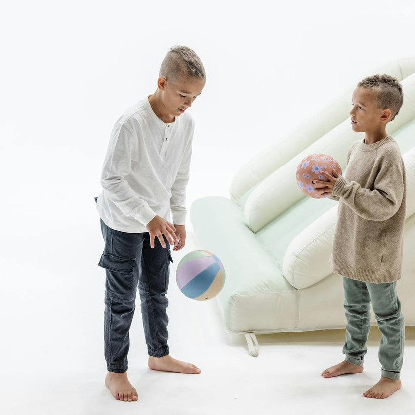 Plush Indoor Ball (2 Pack) - PRE-ORDER 10.15