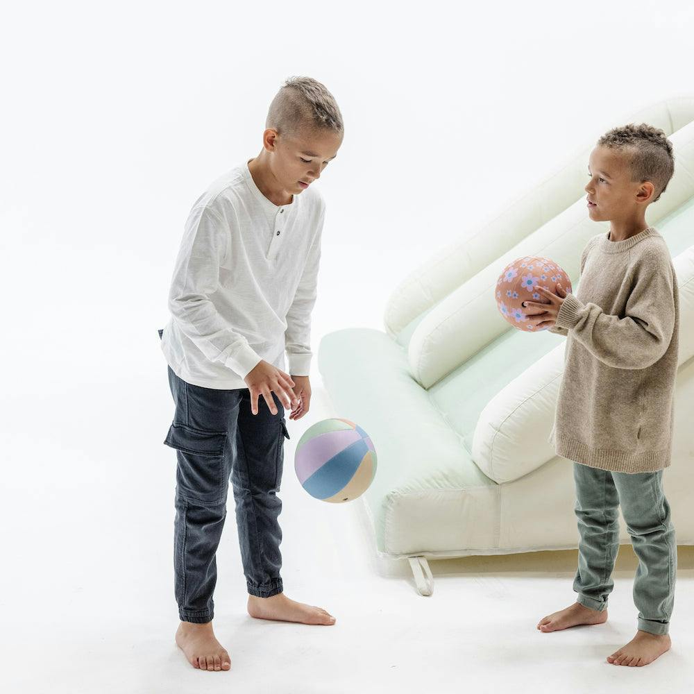 Plush Indoor Ball (2 Pack)