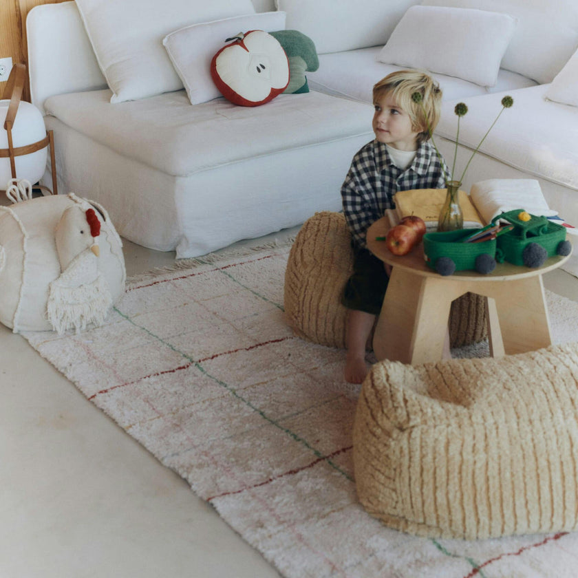 Washable Rug. Multi