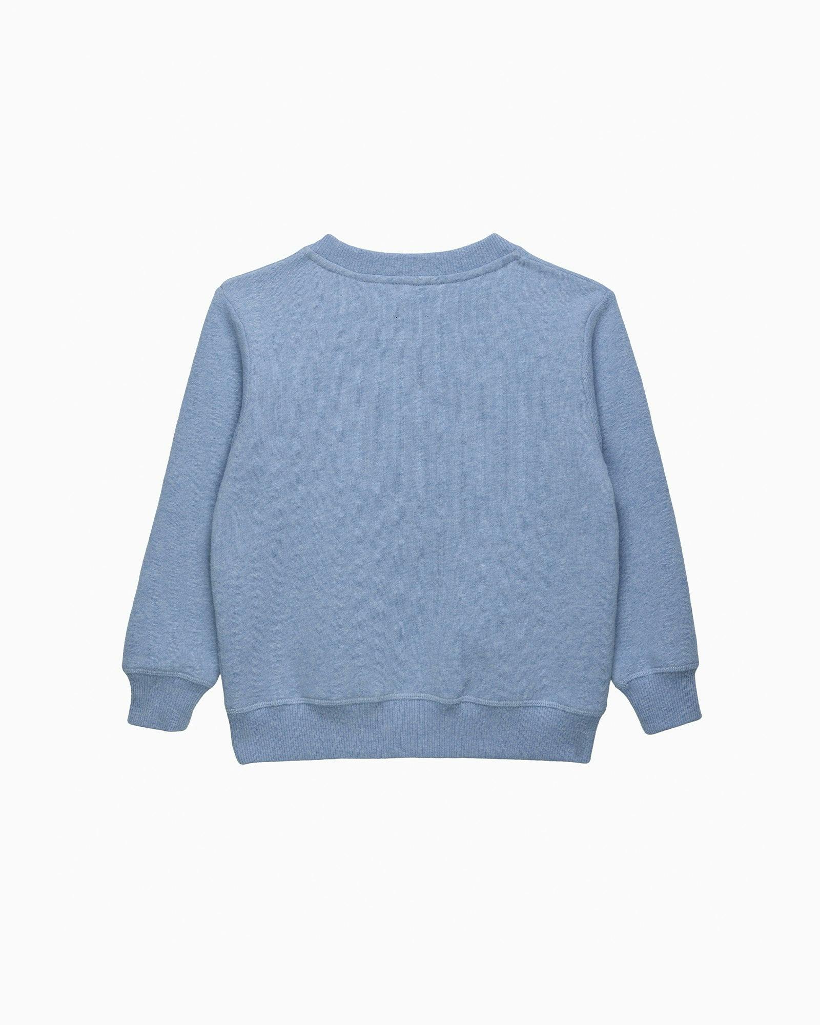 Stegosaurus Sweatshirt