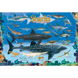 Smart Kids: Chart - 100 pc Puzzle