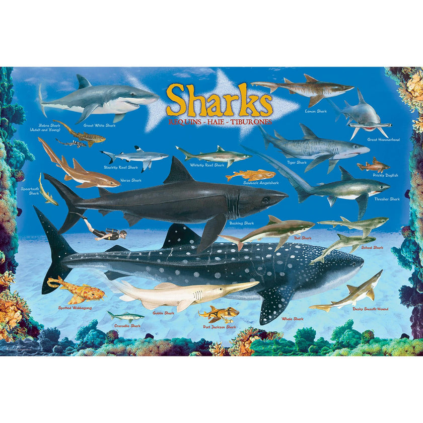 Smart Kids: Chart - 100 pc Puzzle