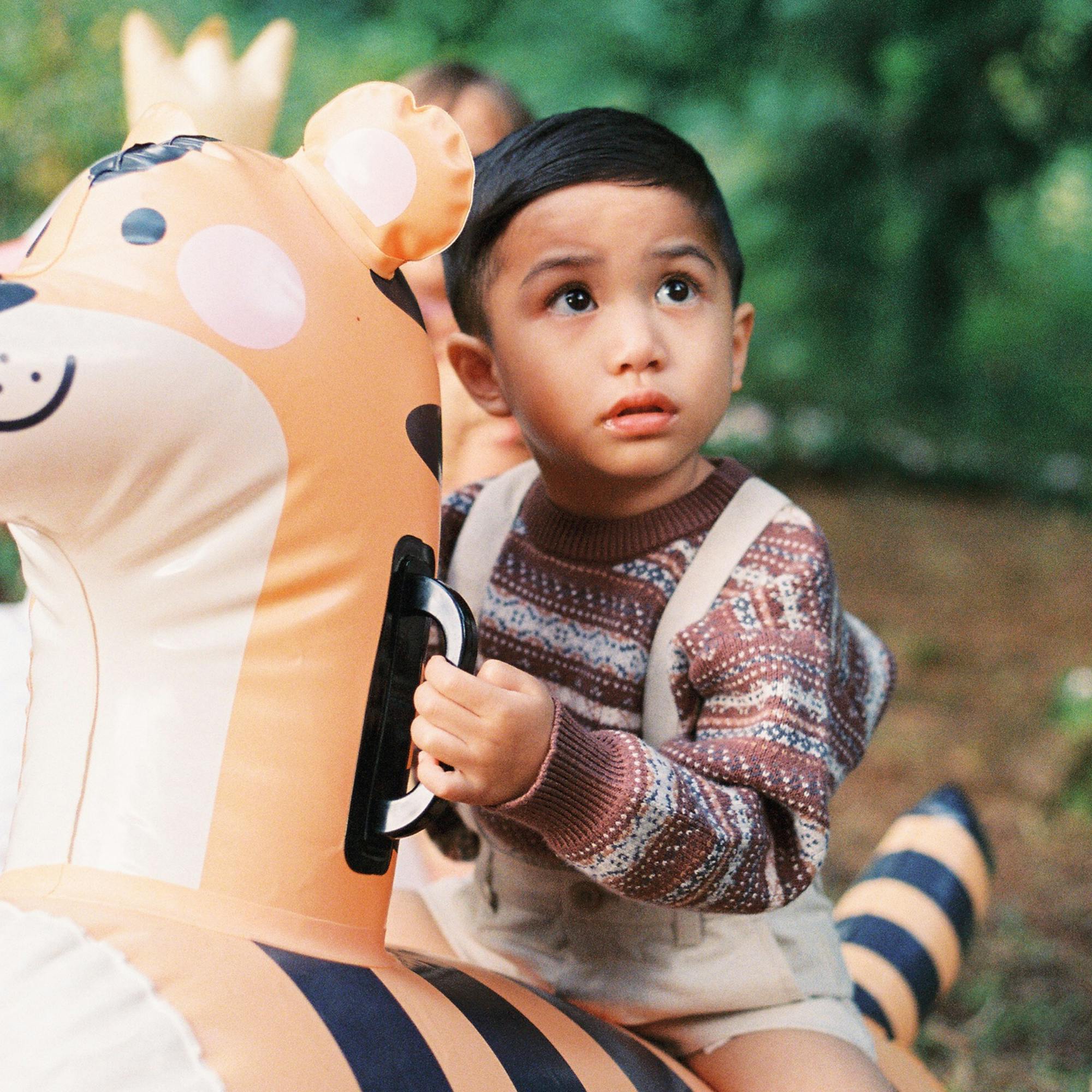 Bouncing Friends | Tiger & Swan (2 Pack) PRE-ORDER 10.27 DELIVERY