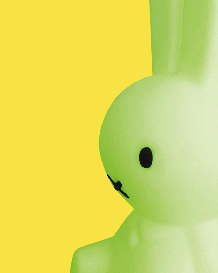 Mr Maria Miffy Colourful Surprise Bundle of Light