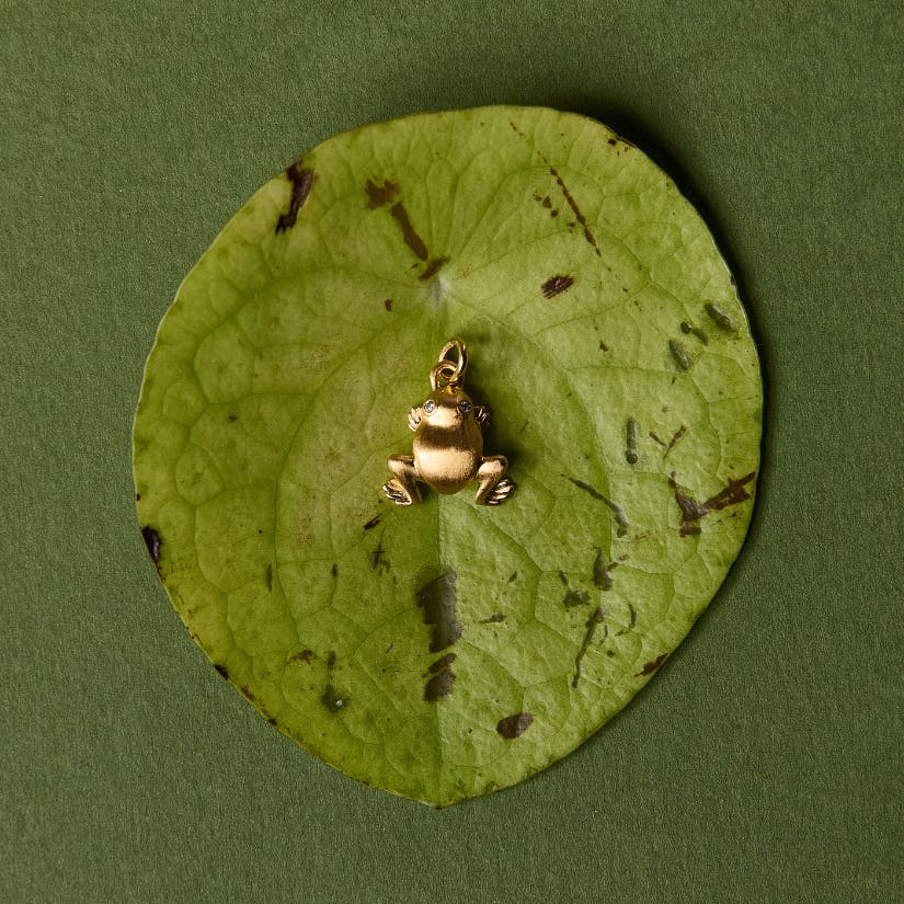 Frog Necklace