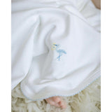 Just Delivered Blanket