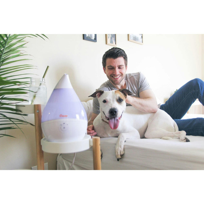 Droplet Ultrasonic Cool Mist Humidifier