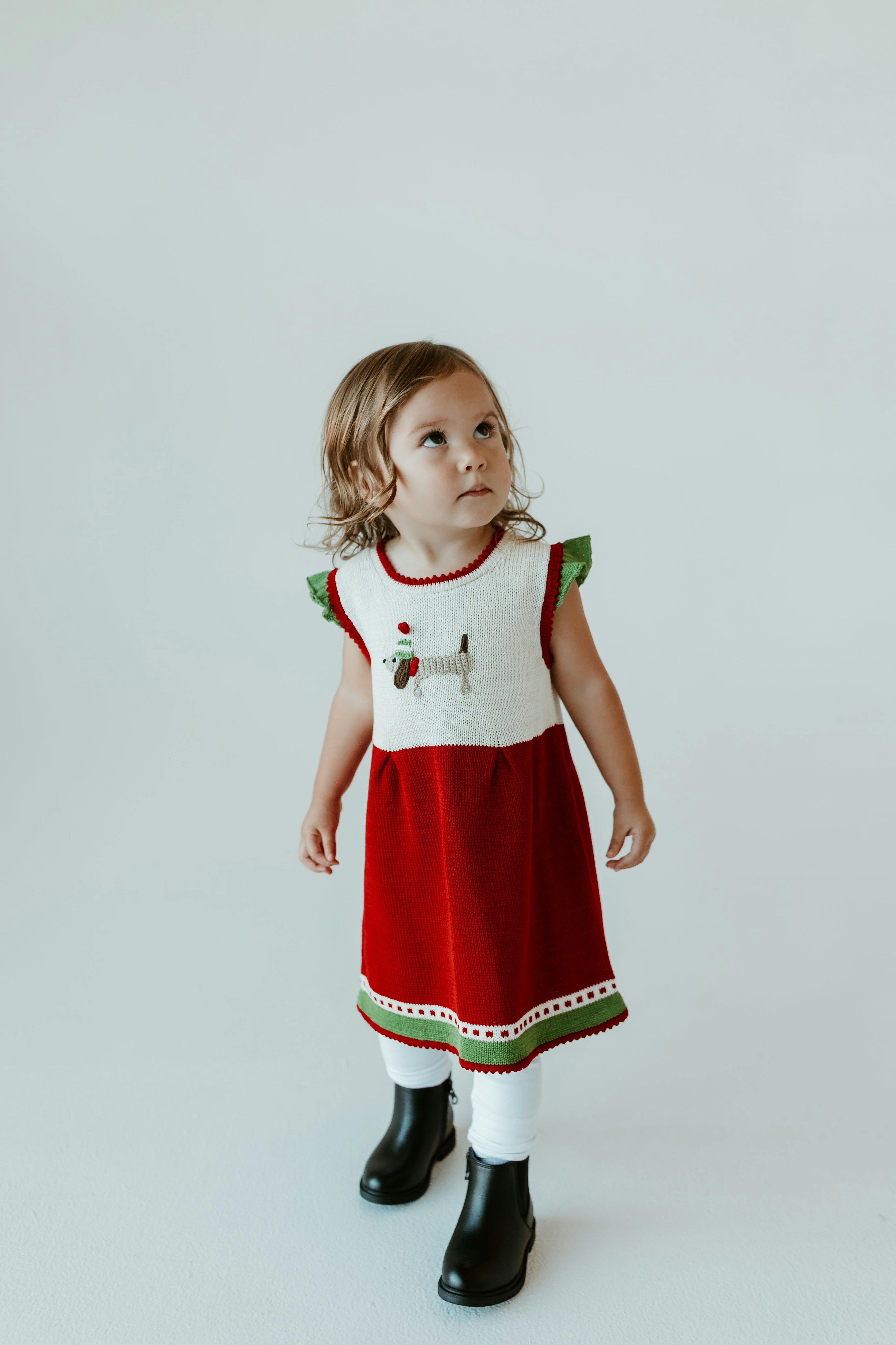 Holiday Dress