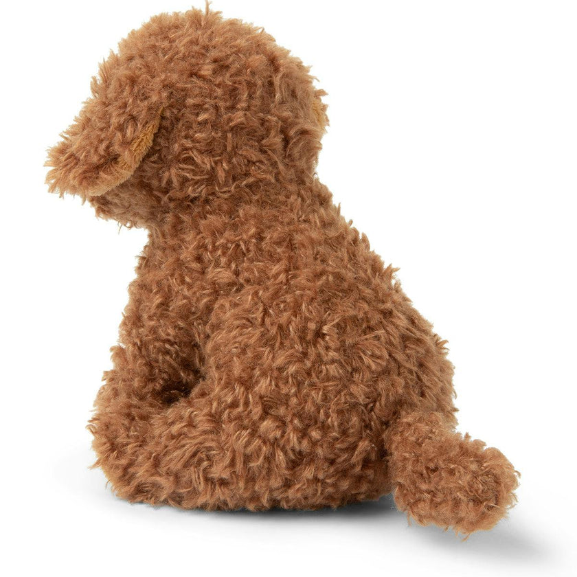 Plush BT CHAPS Stacy the Labradoodle in giftbox 7"
