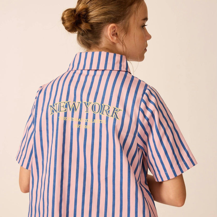Shirtdress in Blue Note Stripe
