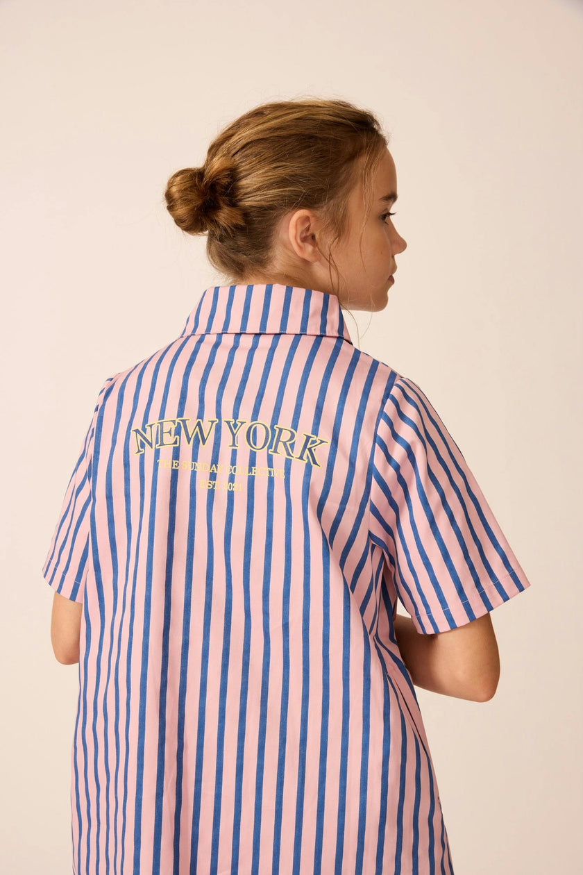 Shirtdress in Blue Note Stripe