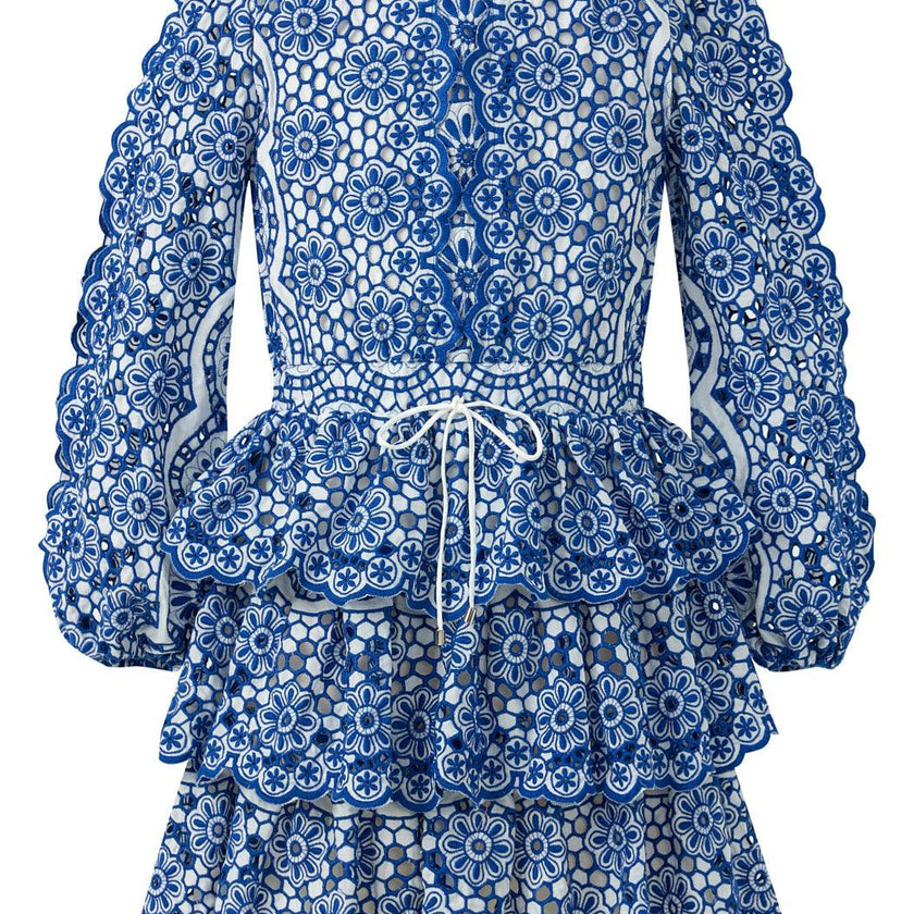 Skyla Sleeve Embroidered Mini Dress