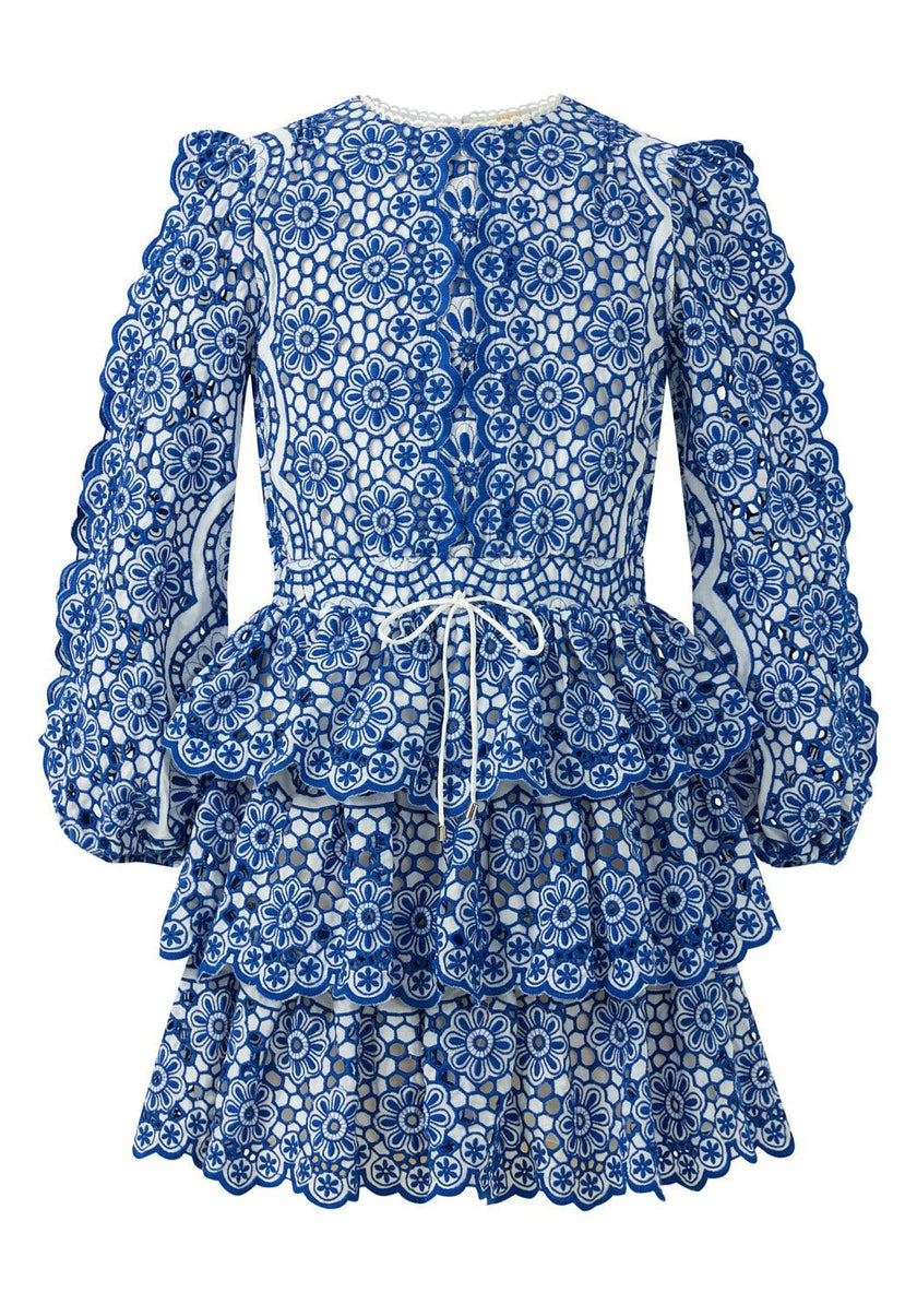 Skyla Sleeve Embroidered Mini Dress