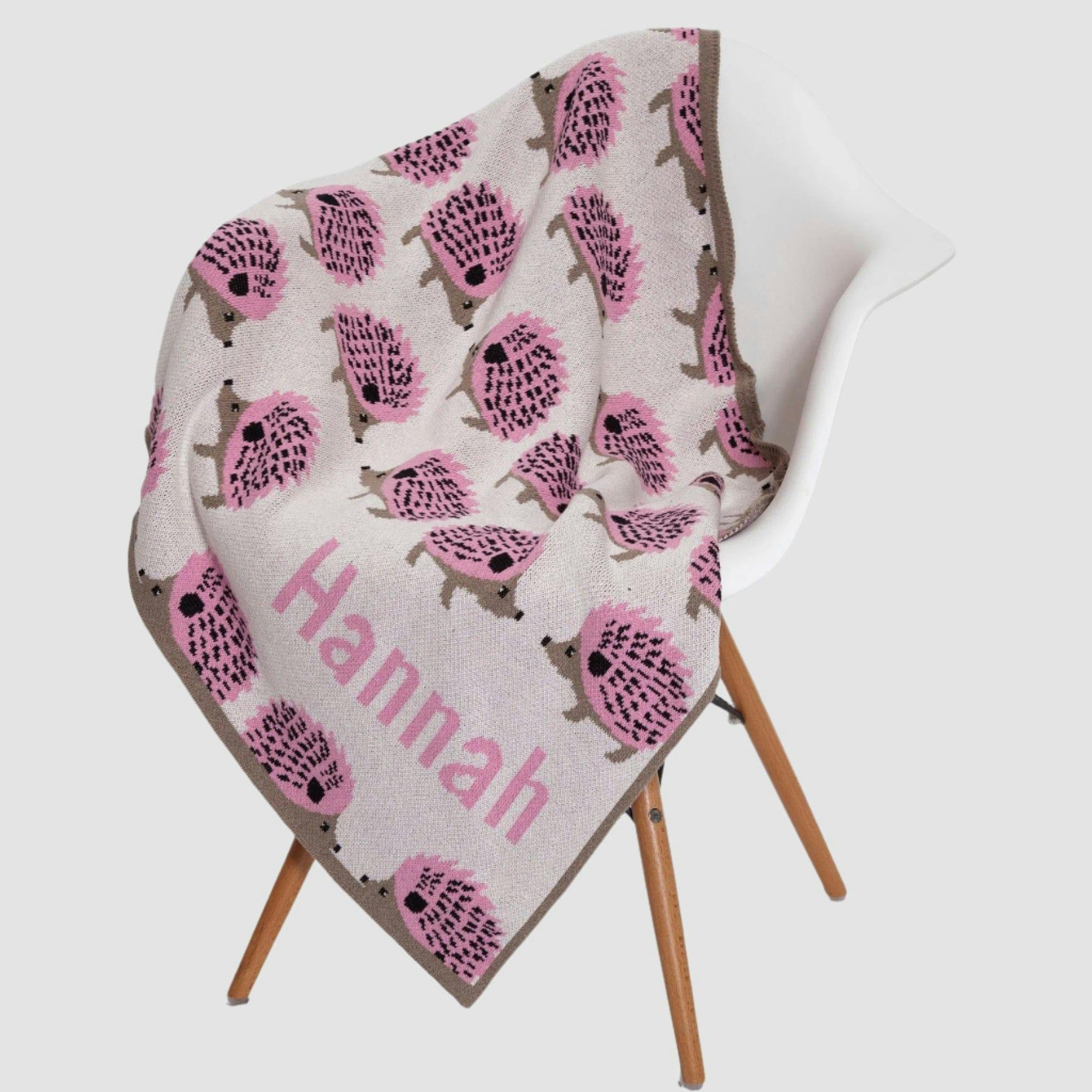 Monogrammed Baby Hedgehog Blanket