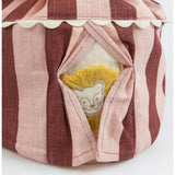 Big Top Circus Bag