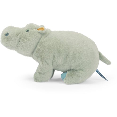 Large Hippopotamus - All Around The World