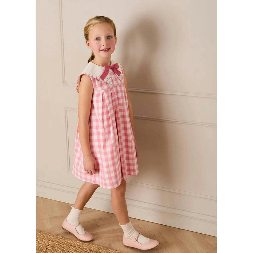 Catherine Gingham Embroidered Sleeveless Trapeze Dress in Pink (12mths- 10yrs)