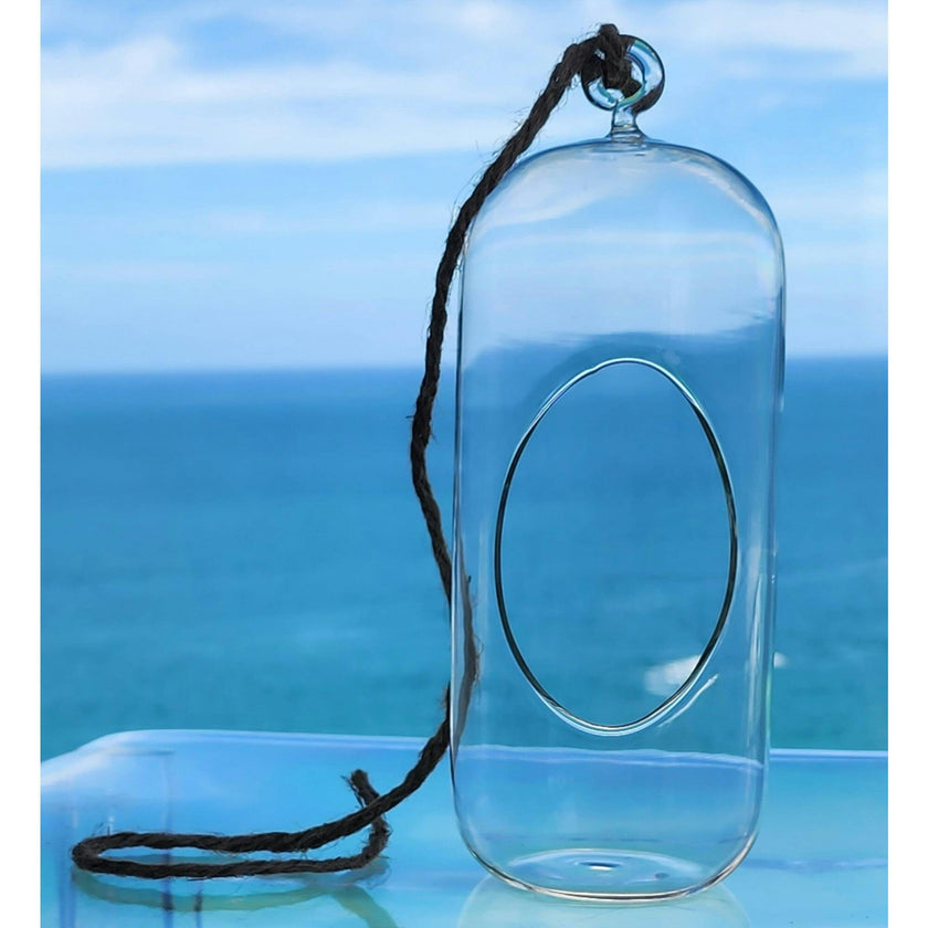 Glass Terrarium: Carefree Capsule - 2 Pack