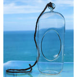 Glass Terrarium: Carefree Capsule
