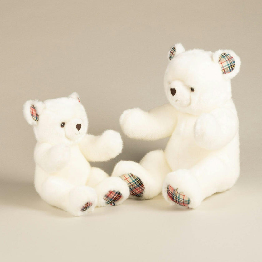 Robert the Bear | White | Scottish Print