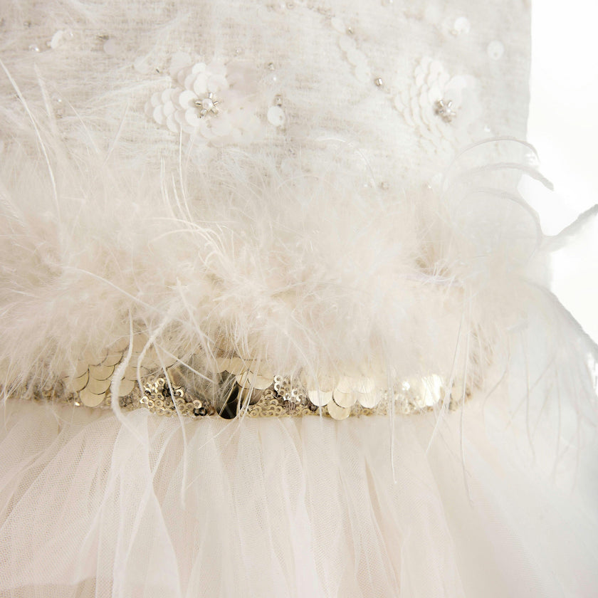 Ivory Feathered Tulle Party Dress