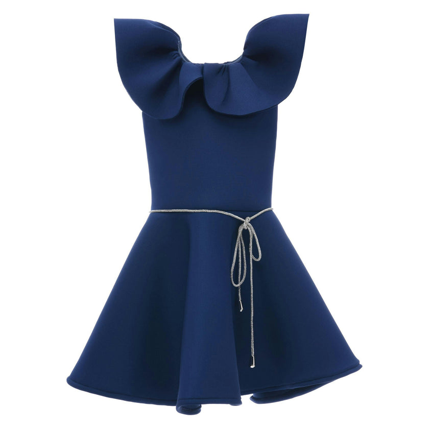 Navy Iris Ruffle Dress