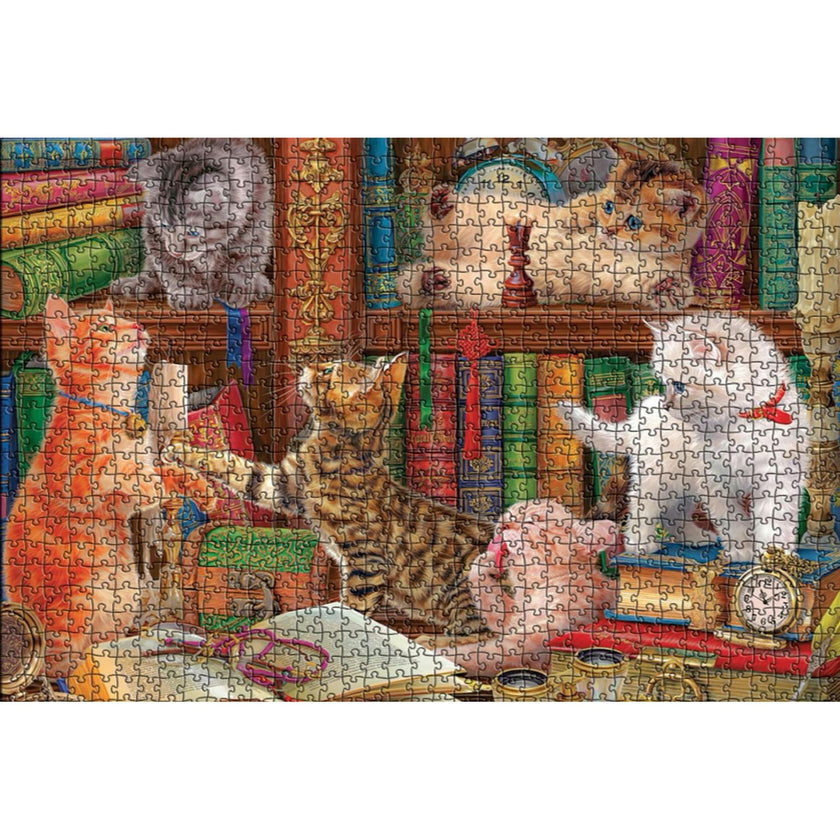 Library Kittens - 1000 PC Puzzle