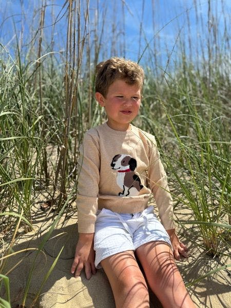 HENRY Tan Sweater