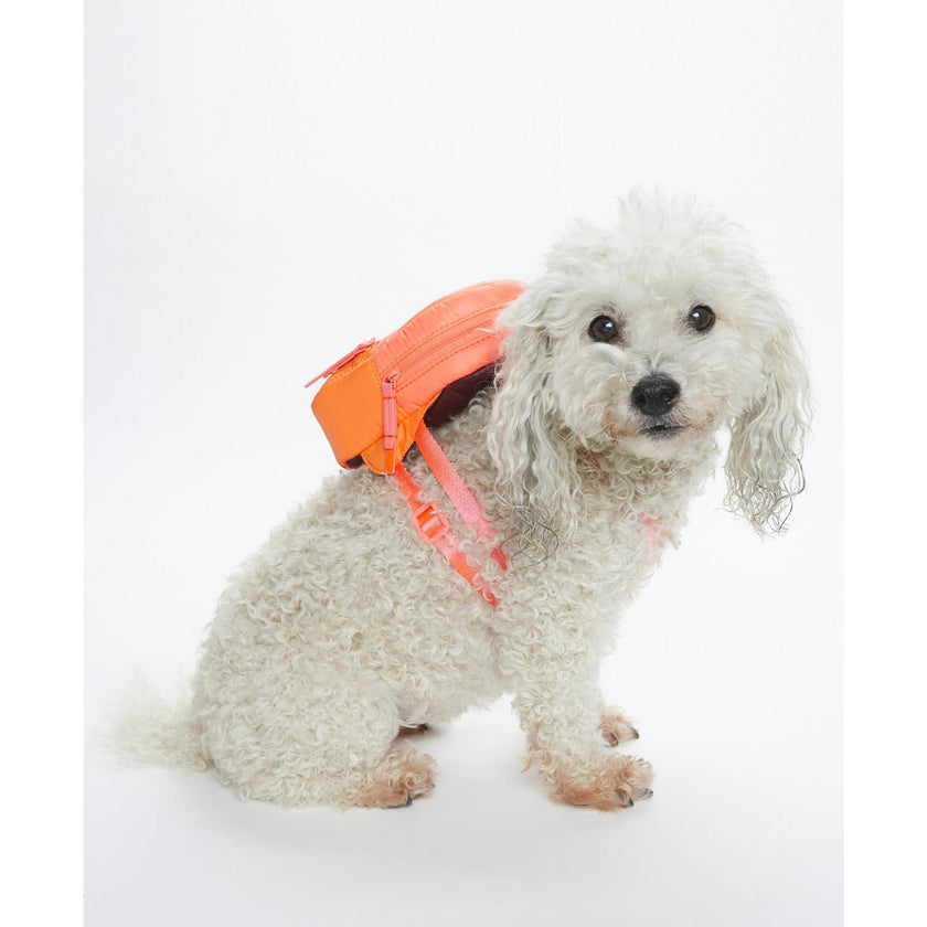 Dog Backpack