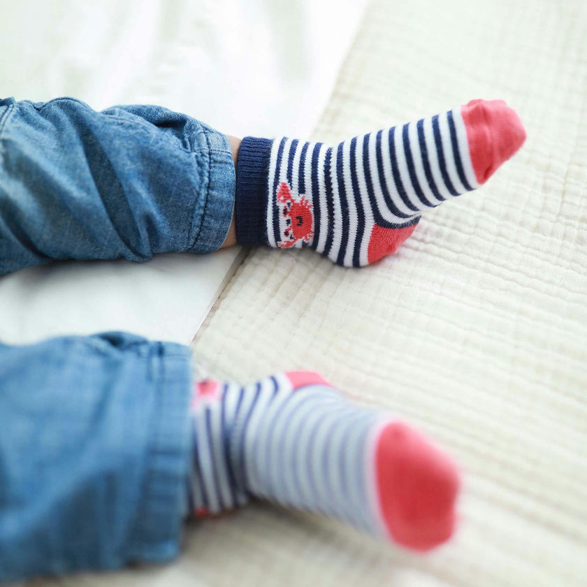 Let's Sail Away Assorted Boys 6pk Sock