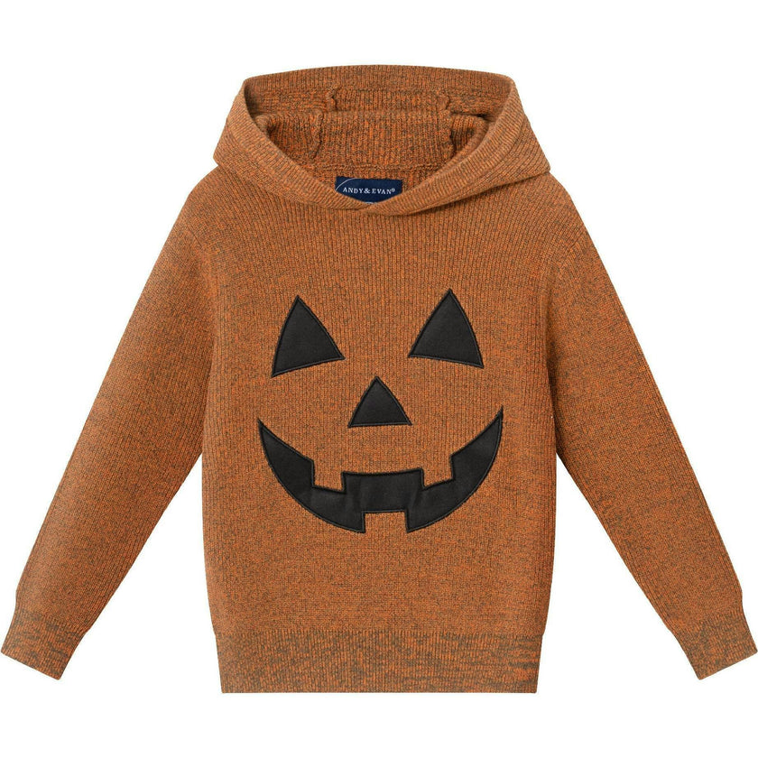 Kids Hooded Sweater