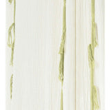 Canopy Crepe Ivory