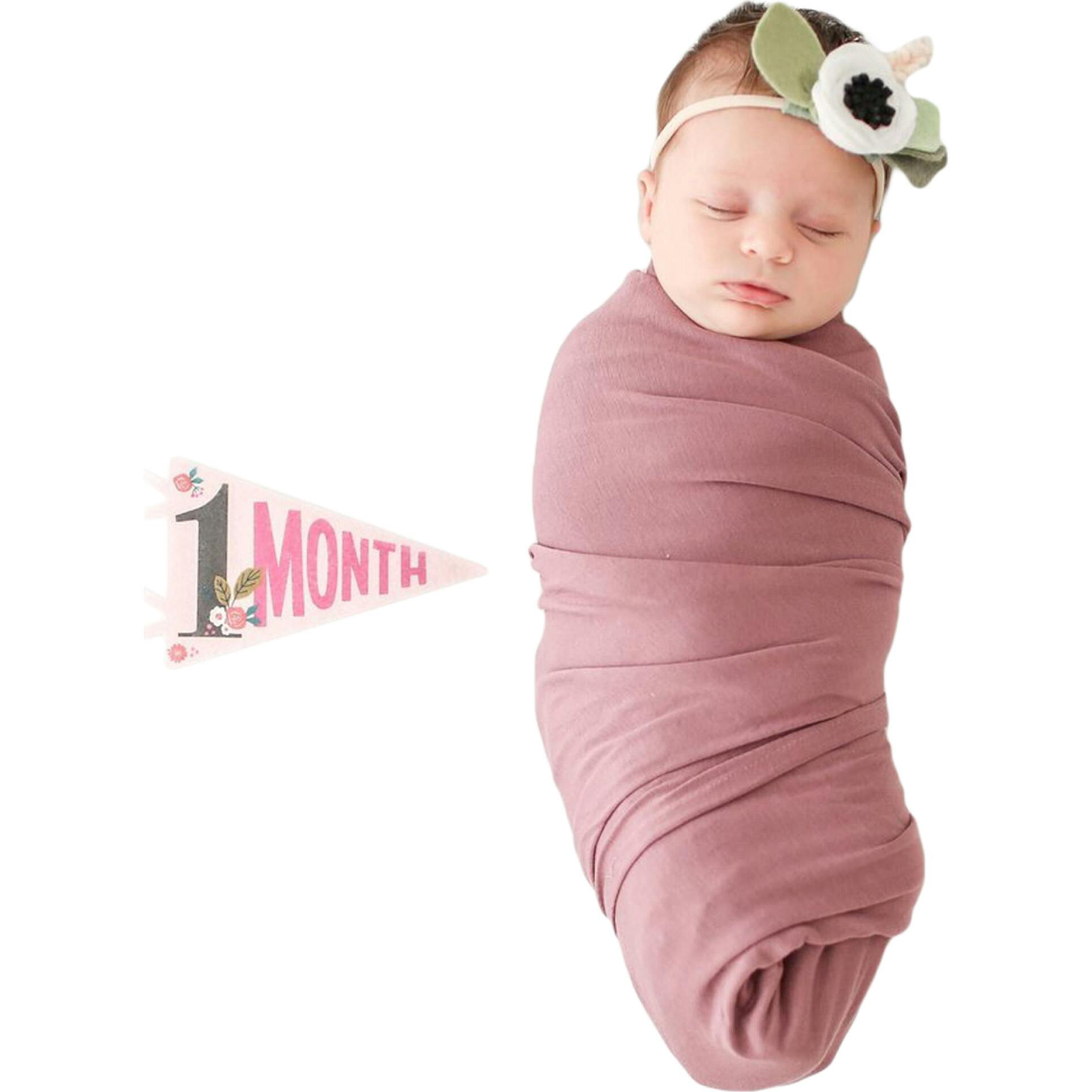 Little Artist Petit Milestone Pennants