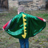 Dragon Knight Reversible Cape