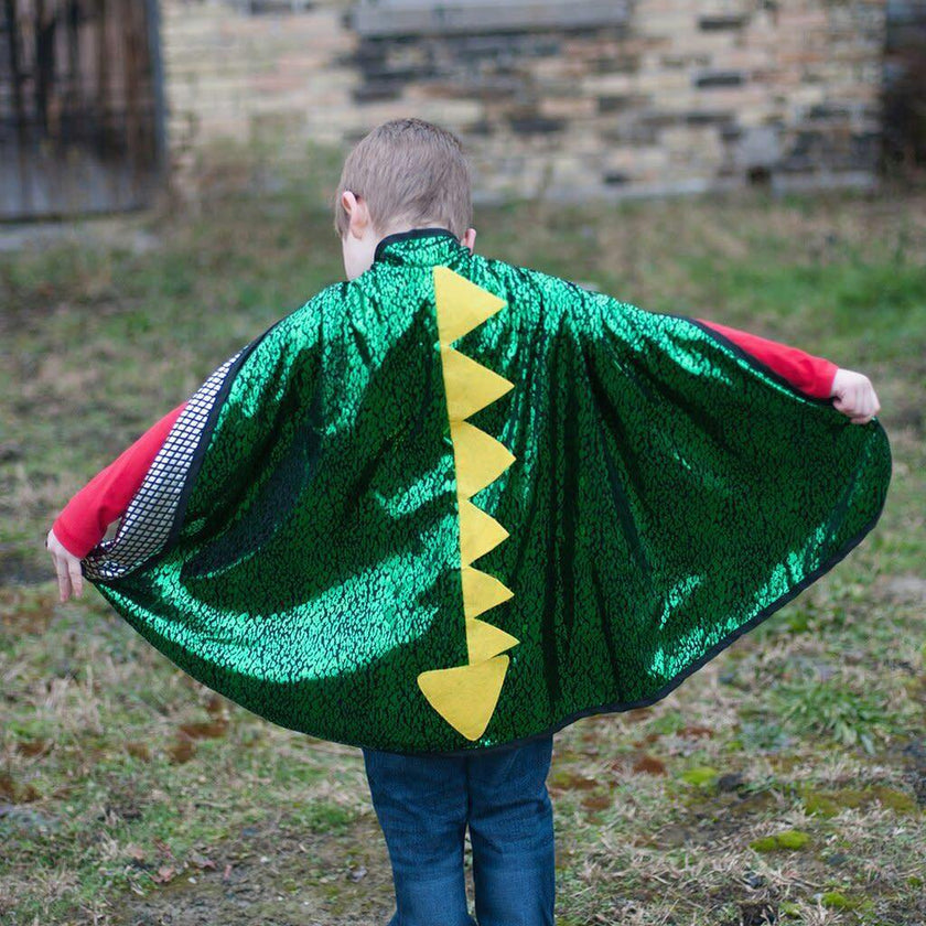 Dragon Knight Reversible Cape