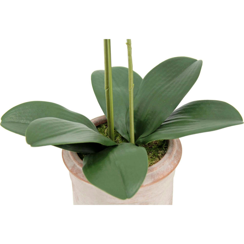Artificial 2-Stem Phalaenopsis Pink Orchid