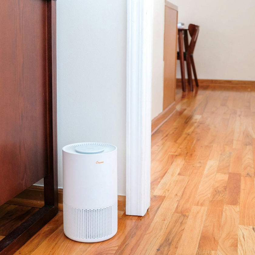 True HEPA Air Purifier for Nursery, Up to 250 Sq Ft, Quiet Sleep Timer