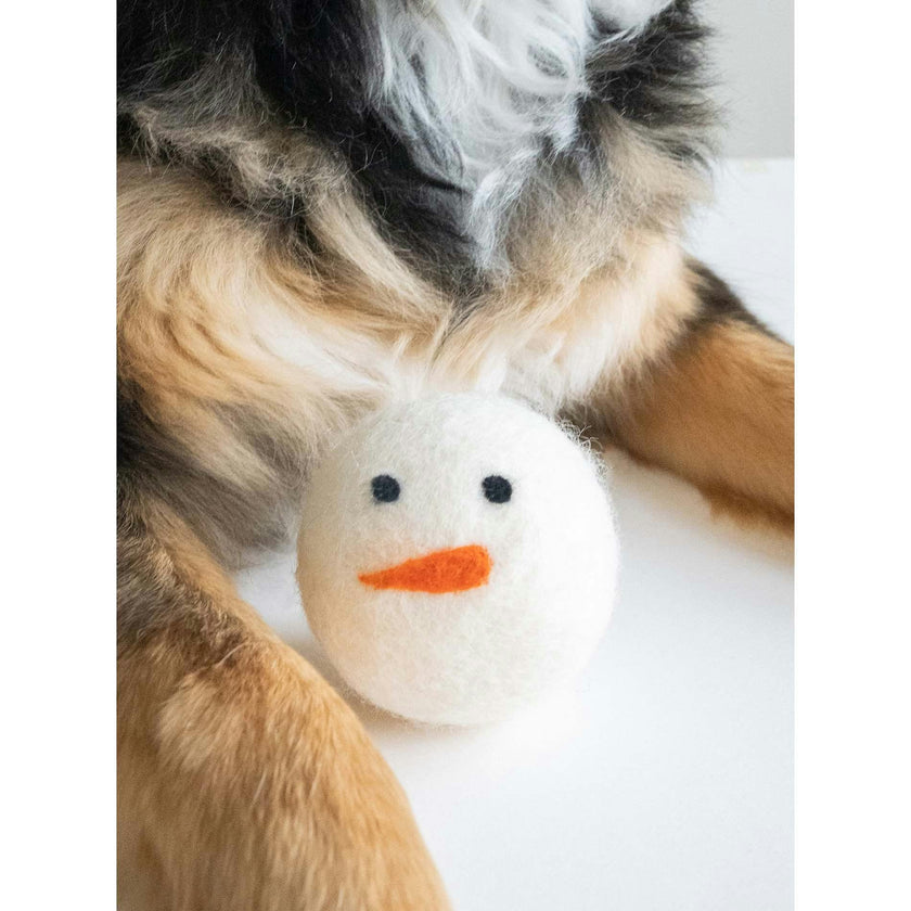 WINTER BEASTBALL