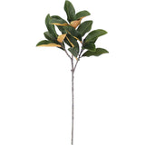 36" Faux Green Magnolia Leaf Stems, Set of 4