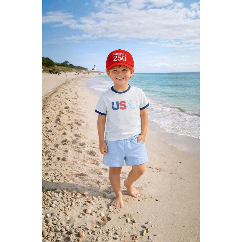 America 250th Baseball Hat