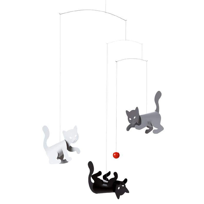 Kitty Cats.
