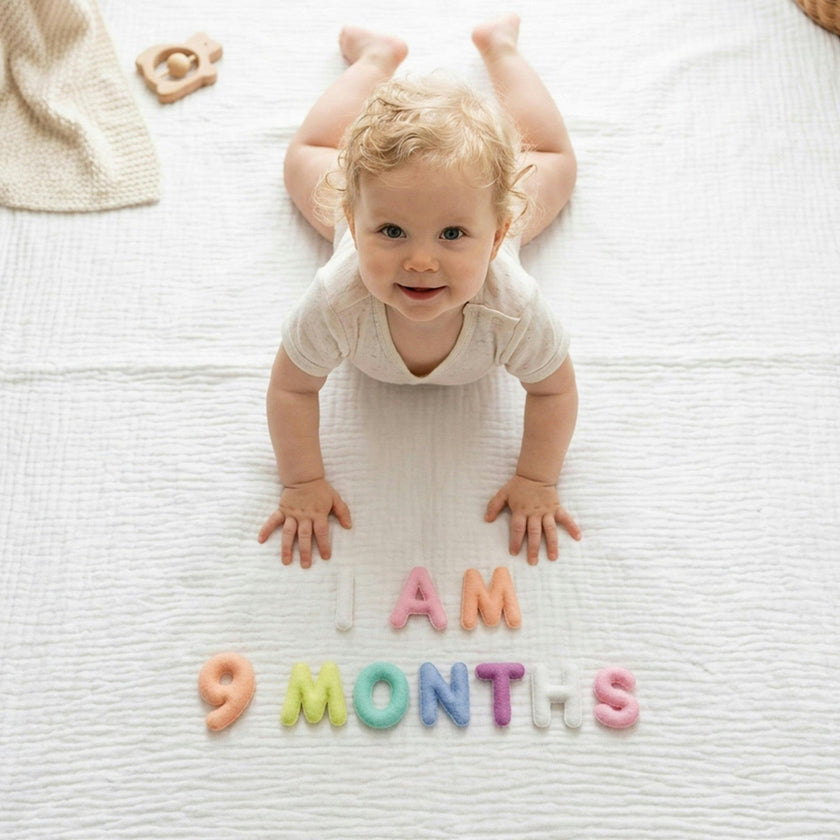 Milestone Felt Numbers in Pastel