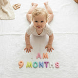 Milestone Felt Numbers in Pastel