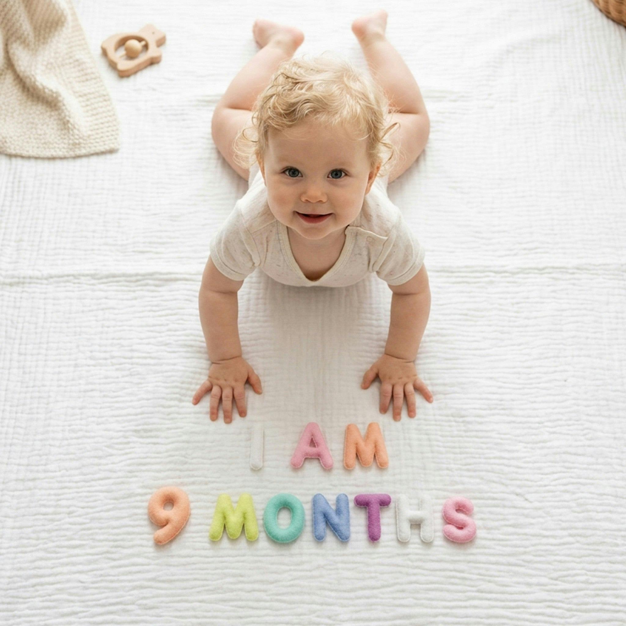 Milestone Felt Numbers in Pastel
