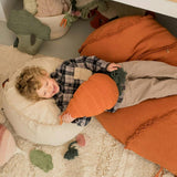 Bean Bag Cathy The Carrot