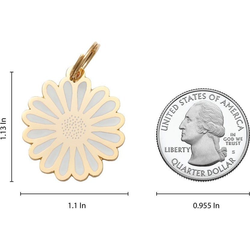 Daisy Pet ID Tag