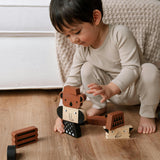 Brain and Balance Bundle