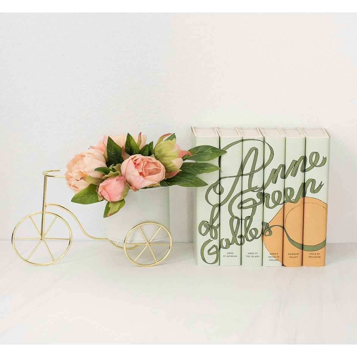Anne of Green Gables Book Set